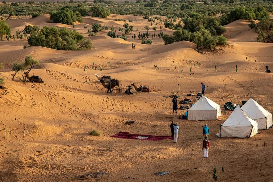 A desert camp at sunset near M'Hamid El Ghizlane